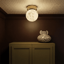 Mirea Ceiling Light