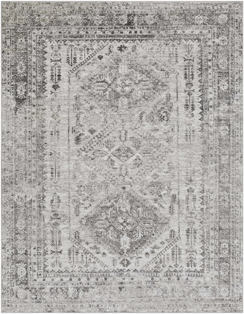 Nelsonville Area Rug