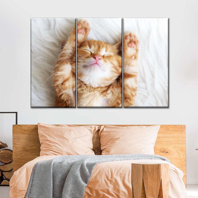 Sleepy Kitty Wall Art