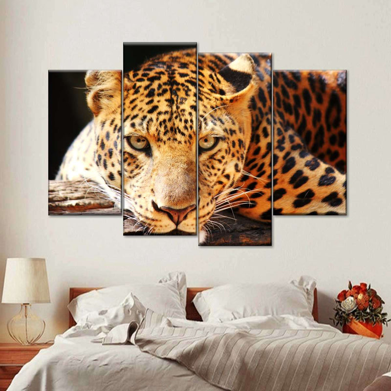 Leopard Gaze Wall Art