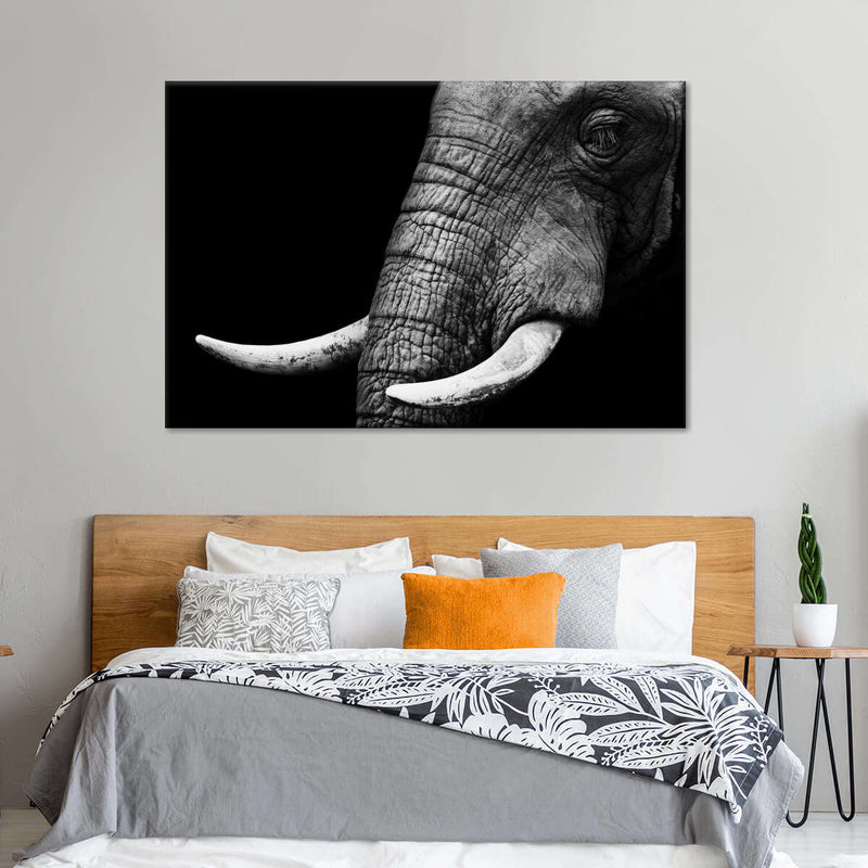 Elephant Close Up Wall Art