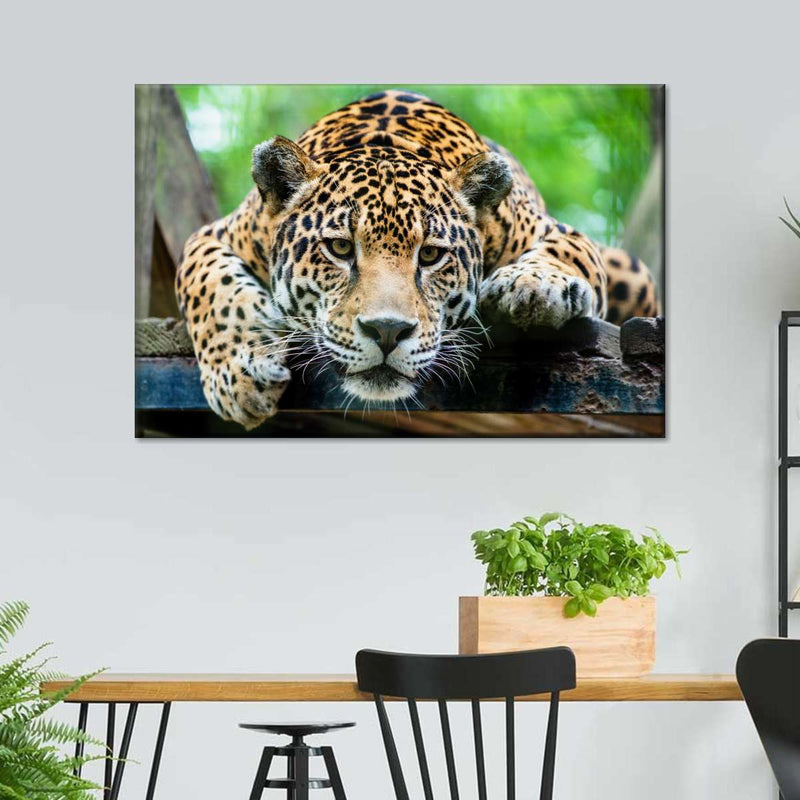 Lazy Leopard Wall Art