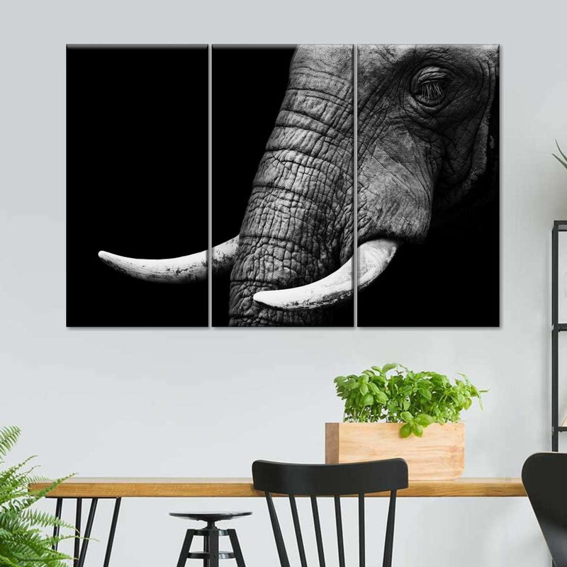 Elephant Close Up Wall Art