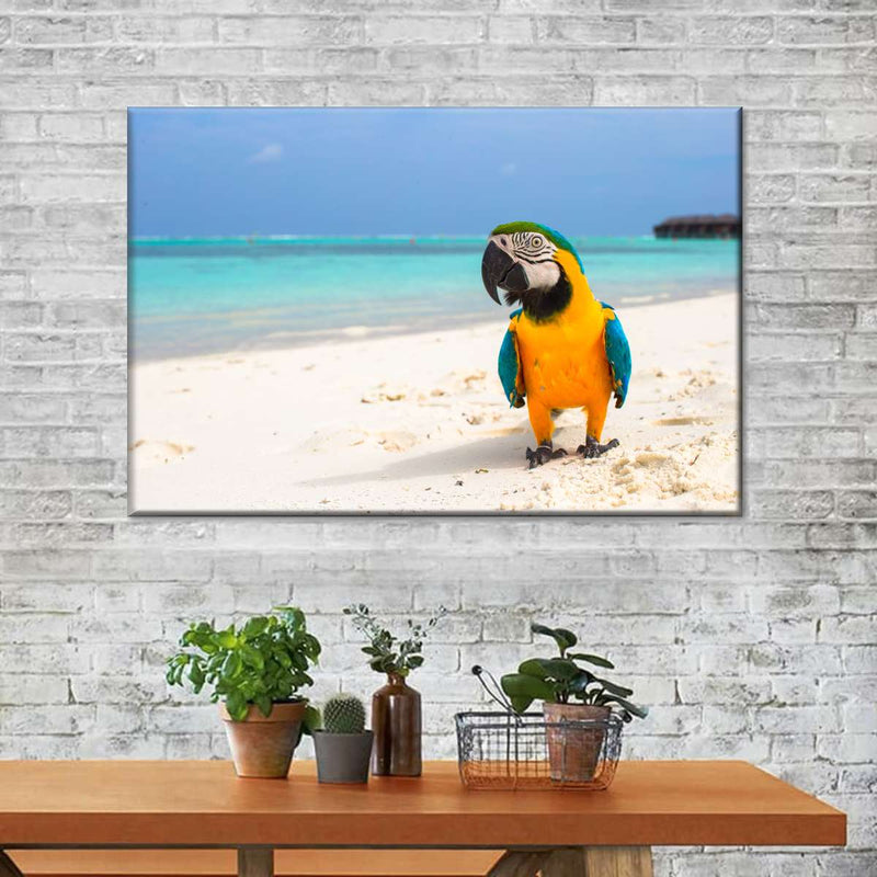 Parrot On Summer Day Wall Art