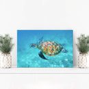 Green Sea Turtle Oil Paint Canvas Wall Art