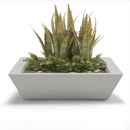 Newport Outdoor Shallow Planter