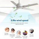 Modern black ceiling fan with 35w dc motor for living room