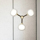 DecorBites™ Modern Black and Gold Wall Sconce with Clear Glass Shade - 3-Head Bedroom Lighting