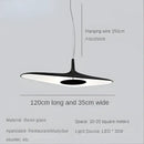Modern black irregular art pendant lamp for living room