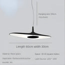 Modern black irregular art pendant lamp for living room