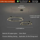 Modern black light luxury circle led chandelier living room pendant
