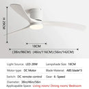 Modern black & light wood ceiling fan with remote control bedroom