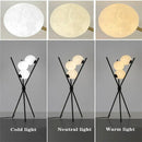 Modern black tripod moon floor lamp with white bulbs living room
