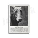 Modern black & white dog breeds poster set – living room wall art