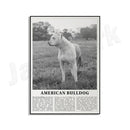 Modern black & white dog breeds poster set – living room wall art