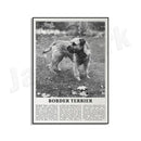 Modern black & white dog breeds poster set – living room wall art