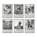 Modern black & white dog breeds poster set – living room wall art