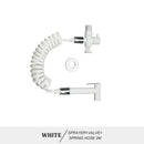 Modern brass bidet spray kit for bathroom with coiled hose