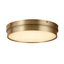 Modern brass led ceiling light for living room with frosted glass