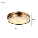 Modern brass led ceiling light for living room with frosted glass