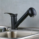 DecorBites™ Brushed Nickel Kitchen Faucet with Sprayer Steam Spout