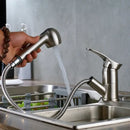 DecorBites™ Brushed Nickel Kitchen Faucet with Sprayer Steam Spout