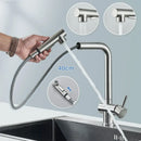 Modern brushed nickel pull out kitchen faucet stainless steel tap