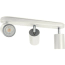 Modern Ceiling Spot Light with Aluminum Body for Stylish Interiors