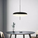 Modern creative black iron pendant light – bar and restaurant design
