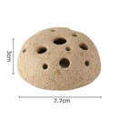 Modern earthy lotus seedpod ceramic incense burner living room decor