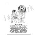 Modern framed black & white dog breed poster set bedroom wall decor