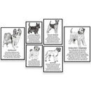 Modern framed black & white dog breed poster set bedroom wall decor