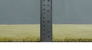 Modern Geometrical Boxes Olive Hand loom 5x8 wool Area Rug