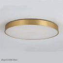 Modern gold acrylic led ceiling light for living room