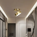 Modern gold black copper led ceiling light living room spotlight