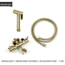 Modern gold brass bidet shower head with double valve for bathroom