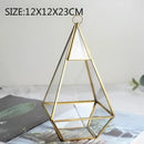 Modern gold geometric glass vase living room hanging terrarium