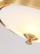 Modern gold lustre copper ceiling lamp living room led light