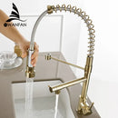Modern gold spring spout kitchen faucet with pull out spray head