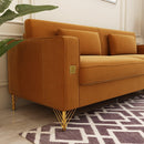 Modern Loveseat Sofa with Pillows