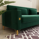 Modern Loveseat Sofa with Pillows