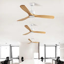 Modern matte black and dark brown wooden ceiling fan living room