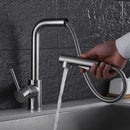 DecorBites™ Brass Brushed Nickel Kitchen Faucet High Arch Swivel Pull Out Spray Mixer Tap
