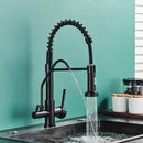 Modern matte black dual handle kitchen faucet with purification spout