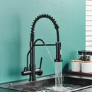 Modern matte black dual handle kitchen faucet with purification spout