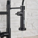 Modern matte black dual spout kitchen sink faucet with spring hose