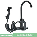 Modern matte black gourmet kitchen faucet with extendable spray