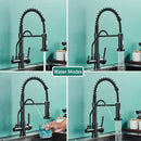 Modern matte black pull down pure water kitchen faucet