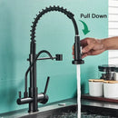 Modern matte black pull down pure water kitchen faucet