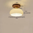 Modern matte dome ceiling lamp with led wood canopy living room